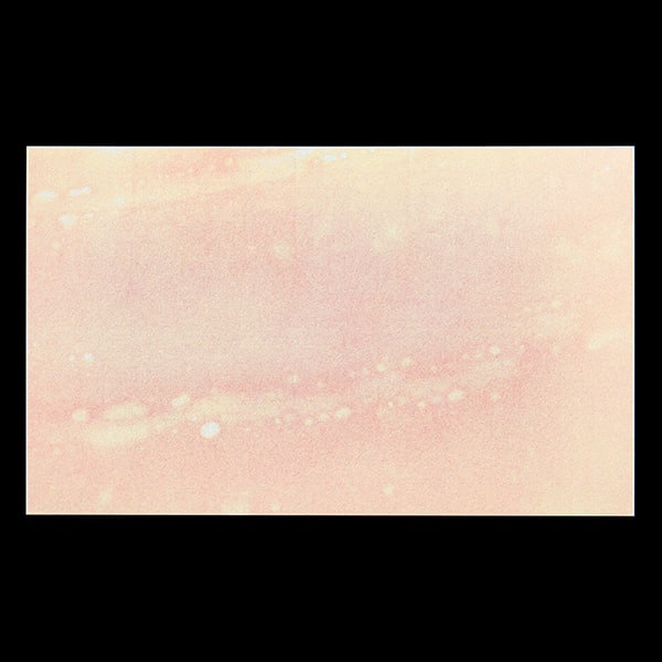 Web����@���h 4�� �A�T���PCoC ��