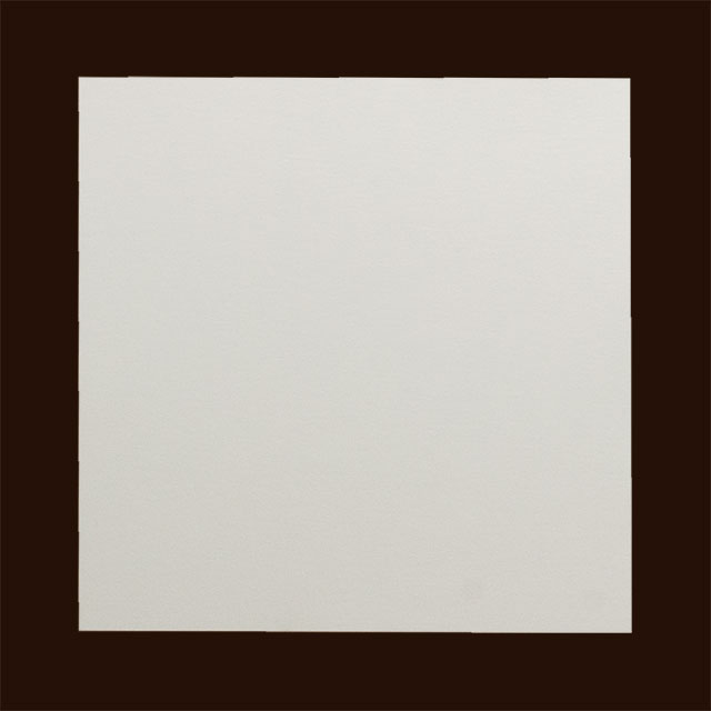 �X�N�G�A �P�J�[�h AR�z���C�gCoC �i�p�j ��