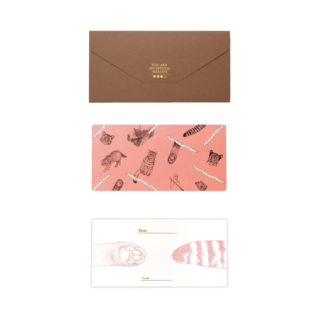 D[di:]cashico�����`���ށE�ĳ  �R�L ��