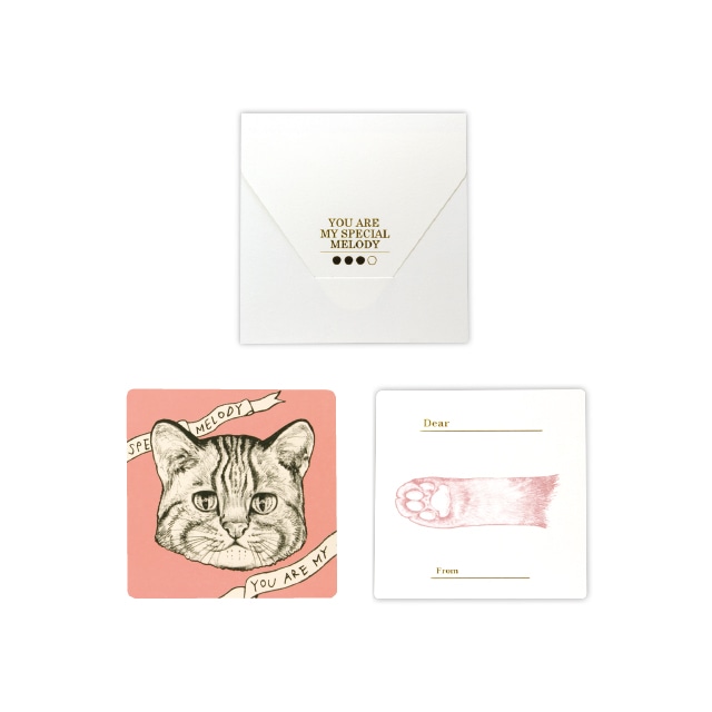 D[di:]cashico�����`���ށE�ĳ  �R�L ��