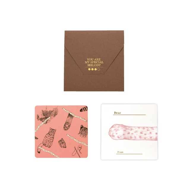 D[di:]cashico�����`���ށE�ĳ  �R�L ��