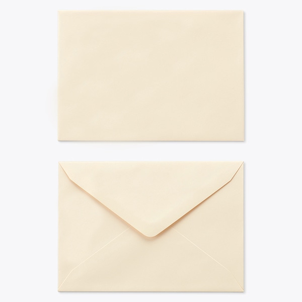 ���� �m2 �_�C���\ EC�x�[�W�� 100 ���g�i�V