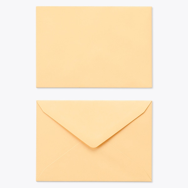 ���� �m2 �_�C���\ EC�I�����W 100 ���g�i�V