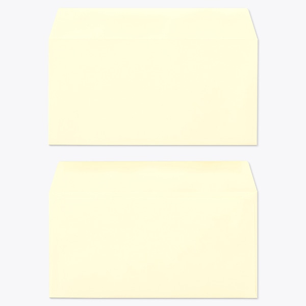 �m��3 �J�}�X�\ EC�N���[�� 100 ���g�i�V �� �̕������