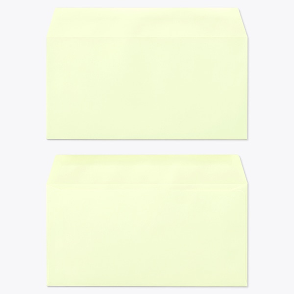 �m��3 �J�}�X�\ EC�E�O�C�X 100 ���g�i�V �̕������