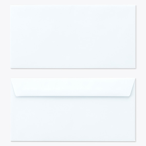 �m��3 �J�}�X�\FF EC�X�J�C 100 ���g�i�V �̕������