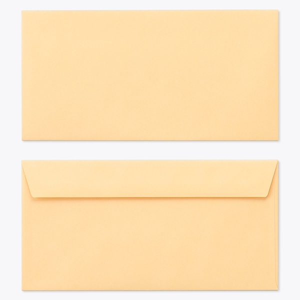 ���� �m��3 �J�}�X�\FF EC�I�����W 100 ���g�i�V