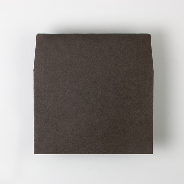 Web����m2 �޵İ��GA-FS �ް���׳�