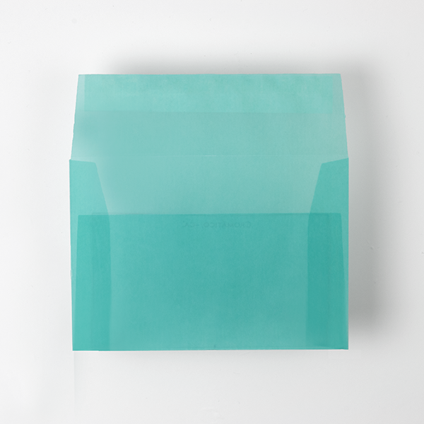 Web����m2 ���è� ���