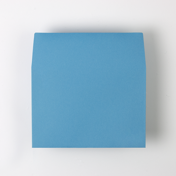 Web����m2 NT׼� ���