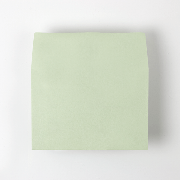 Web����m2 ���� ��������