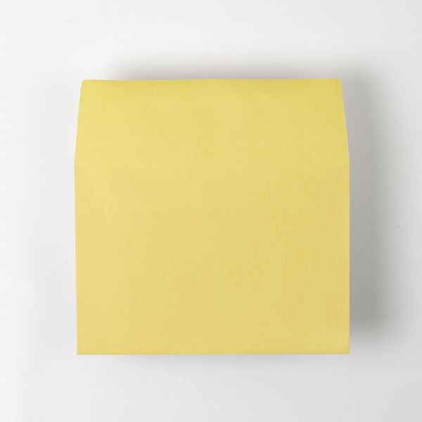 Web����m2 ���� �R��