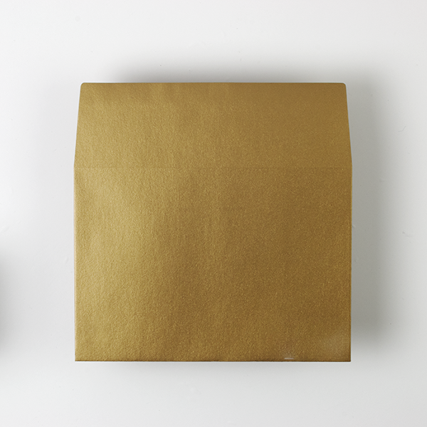 Web����m2 �����ذ�-FS ��è���ް���