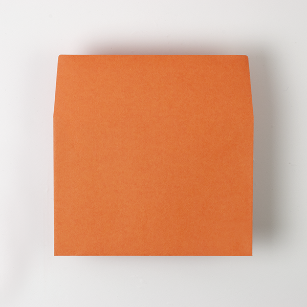 Web����m2 �޵İ��GA-FS ���غ��