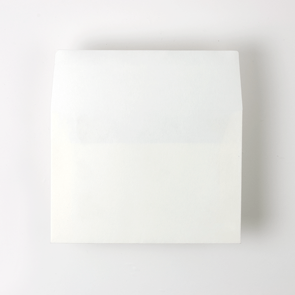 Web����m2 �V���̎q ��