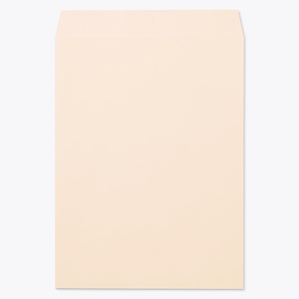 ���� �p0 ���\ EC�s���NCoC 100 ���g�i�V ��