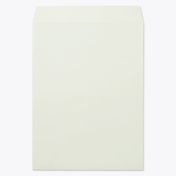 �p0 ���\ EC�O���CCoC 100 ���g�i�V �� �̕������