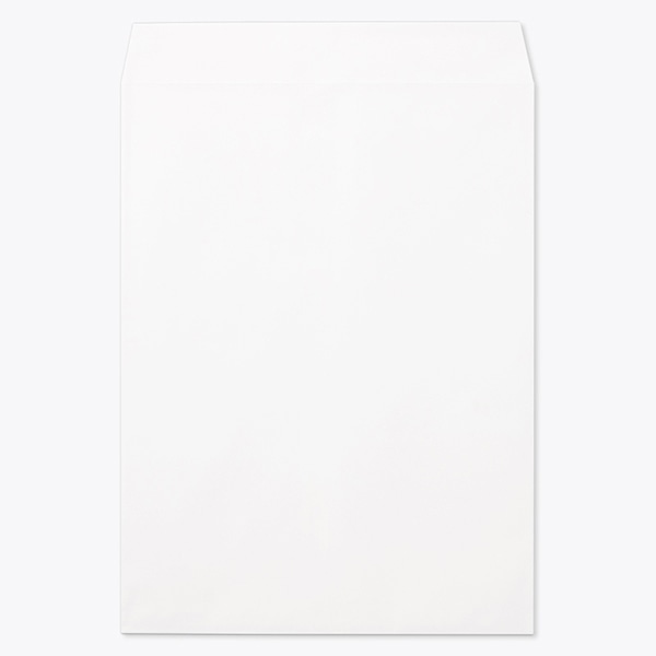 �p0 ���\ EC�z���C�gCoC 100 ���g�i�V �� �̕������