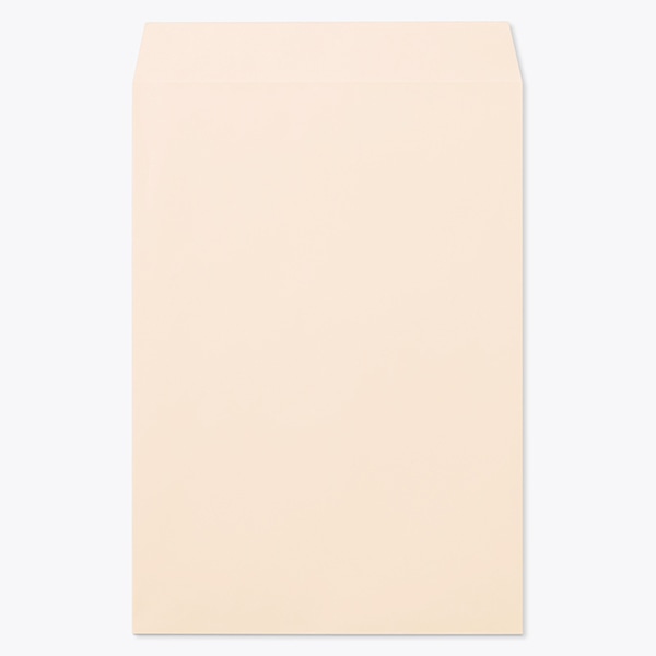 ���� �p1 ���\ EC�s���NCoC 100 ���g�i�V ��