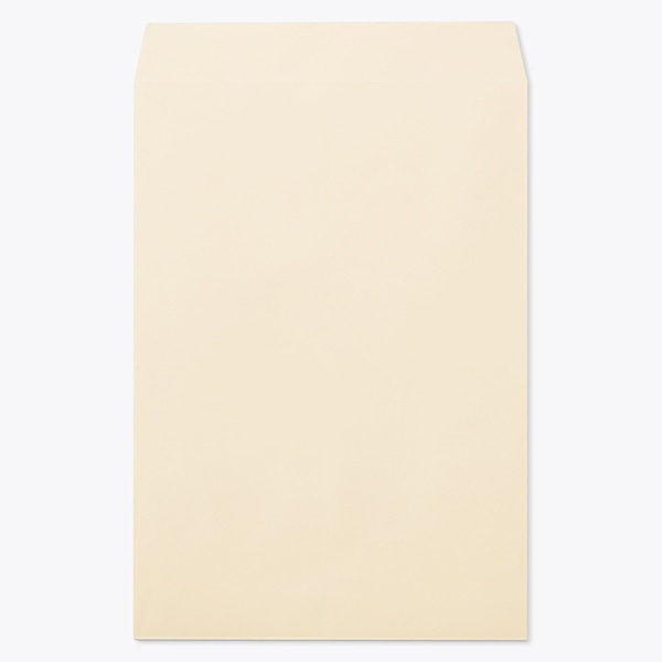 ���� �p1 ���\ EC�x�[�W�� 100 ���g�i�V