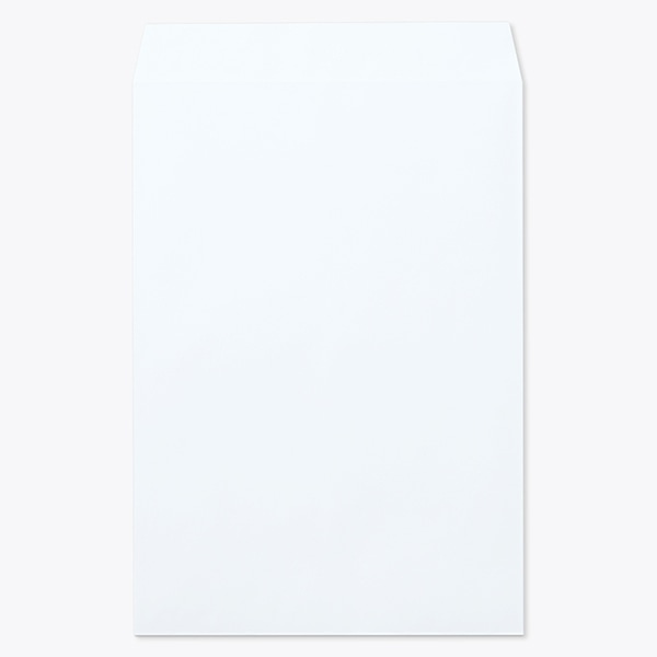 ���� �p1 ���\ EC�X�J�C 100 ���g�i�V