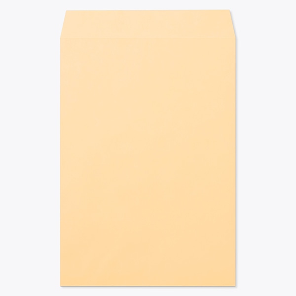 ���� �p1 ���\ EC�I�����W 100 ���g�i�V