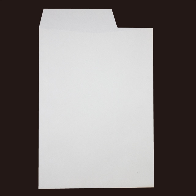 ���� �p2 ���\ �z���C�g R40 CoC 100 �J��(�E1/3) ���g�i�V ��