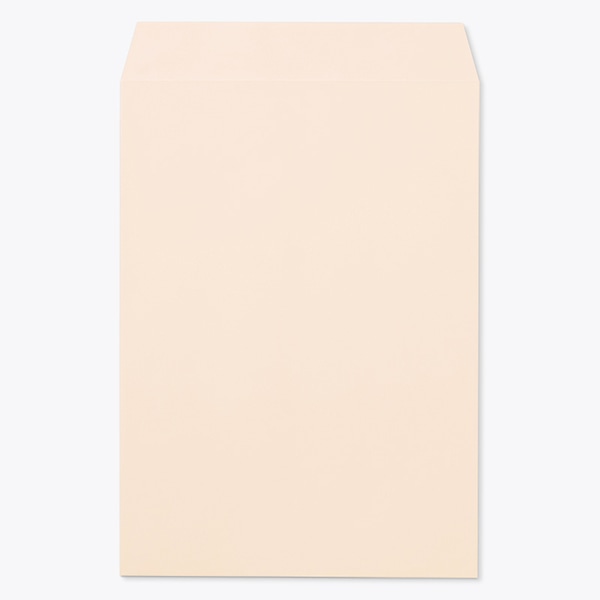 ���� �p2 ���\ EC�s���NCoC 100 ���g�i�V ��