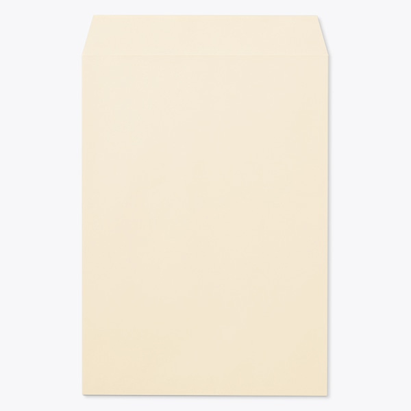 ���� �p2 ���\ EC�x�[�W�� 100 ���g�i�V