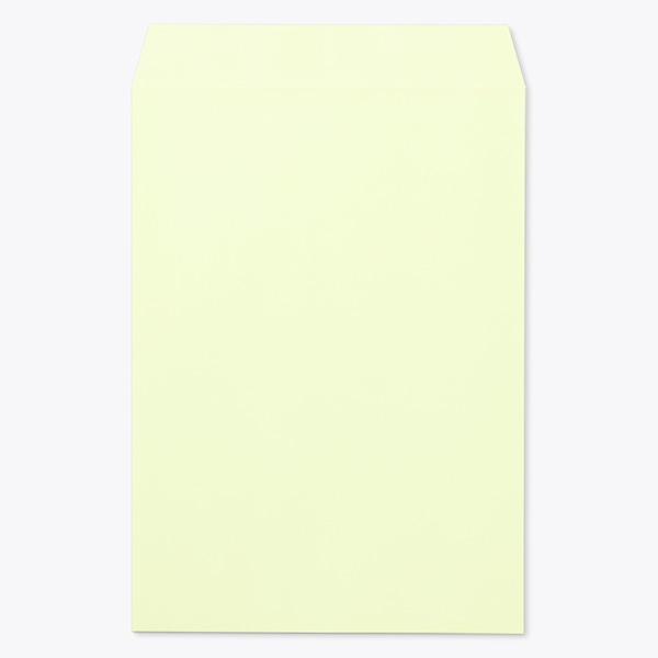 ���� �p2 ���\ EC�E�O�C�X 100 ���g�i�V