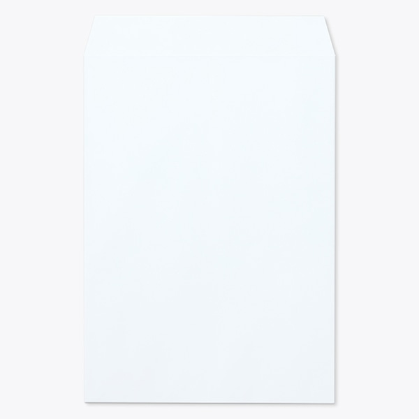 ���� �p2 ���\ EC�X�J�C 100 ���g�i�V