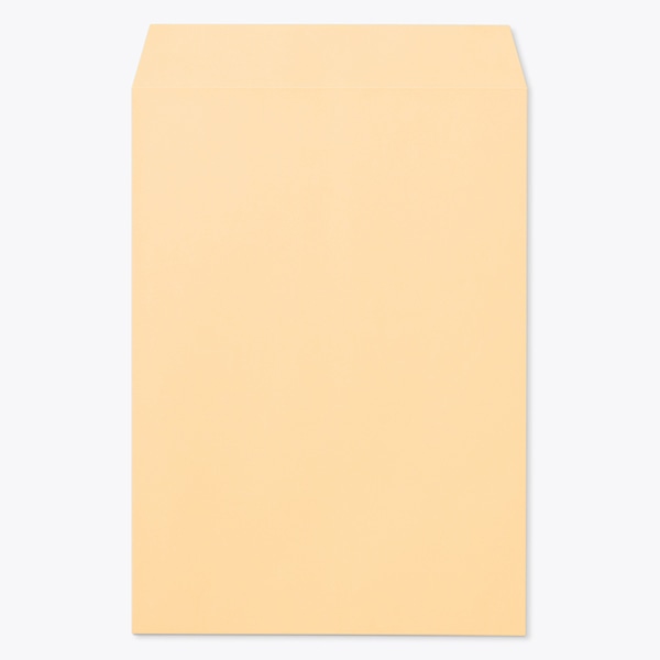 ���� �p2 ���\ EC�I�����W 100 ���g�i�V