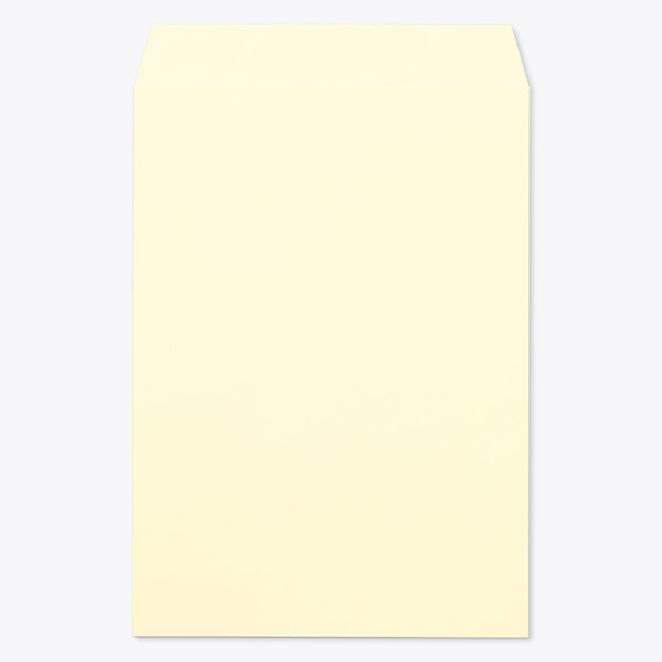 ���� �p2 �X�~�\ EC�E�X�N���[�� 100 ���g�i�V