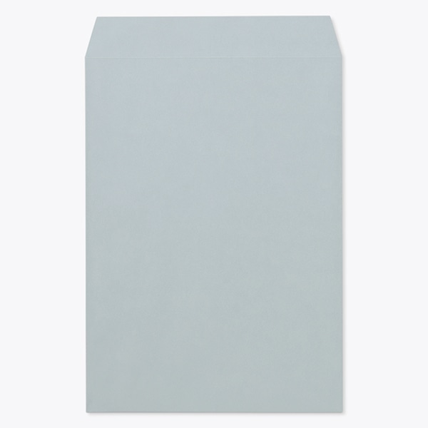 ���� �p2 �X�~�\ EC�A�r�X 100 ���g�i�V