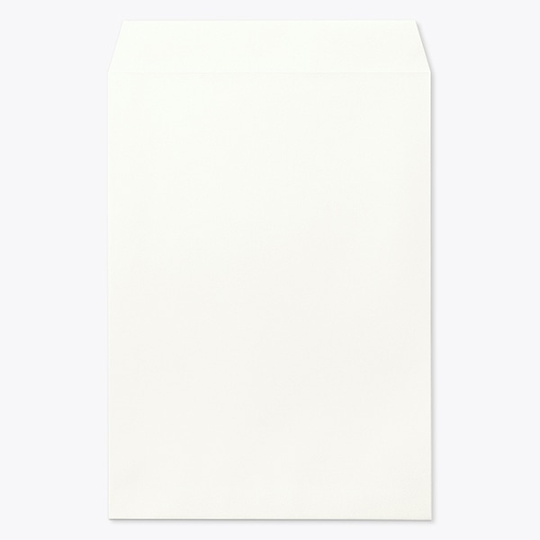 �p2 �X�~�\ �T�C�^�� �z���C�g 100 ���g�i�V �̕������