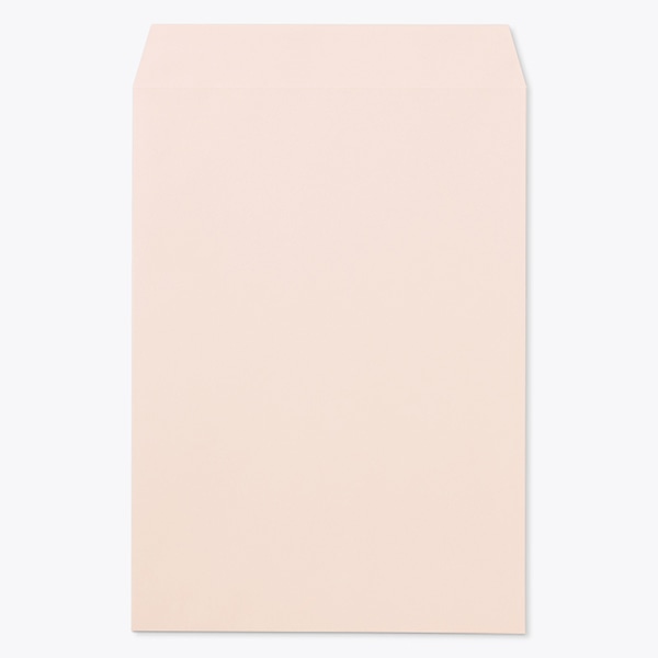 ���� �p2 �X�~�\ �X�єF��EC�s���N 100 �}�[�N�� ���g�i�V ��