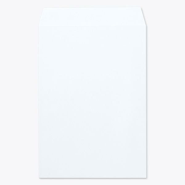 ���� �p20 �X�~�\ EC�X�J�C 100 ���g�i�V