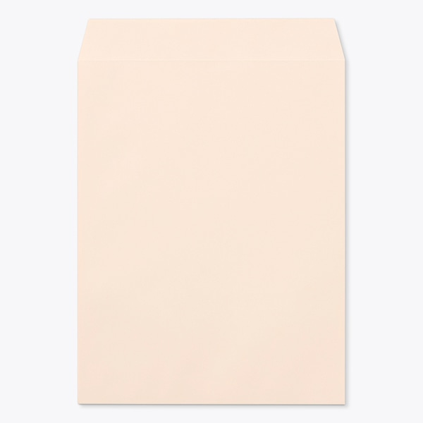 ���� �p3 ���\ EC�s���NCoC 100 ���g�i�V ��