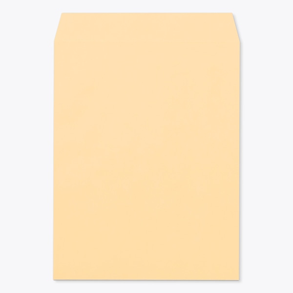 ���� �p3 ���\ EC�I�����W 100 ���g�i�V