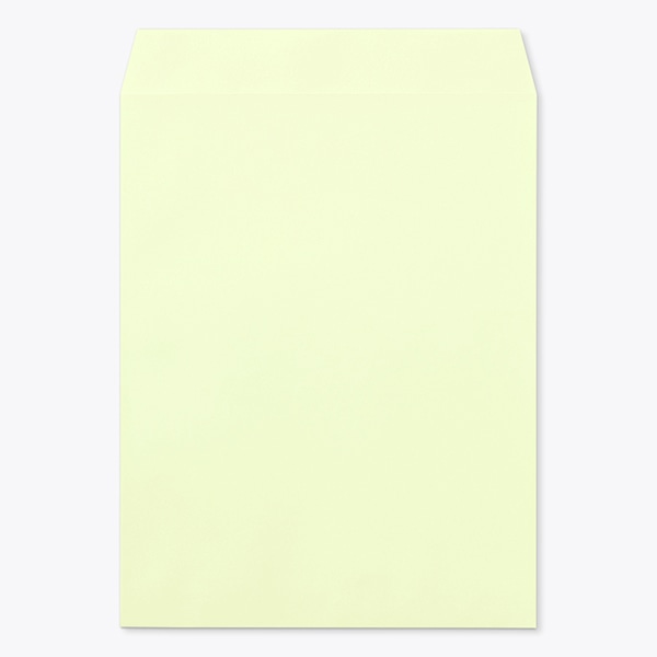 ���� �p3 �X�~�\ EC�E�O�C�X 100 ���g�i�V