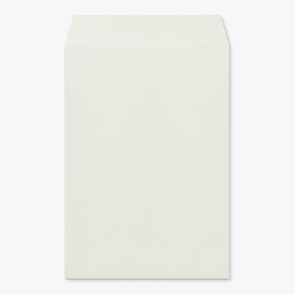 �p6 ���\ EC�O���CCoC 100 ���g�i�V �� �̕������