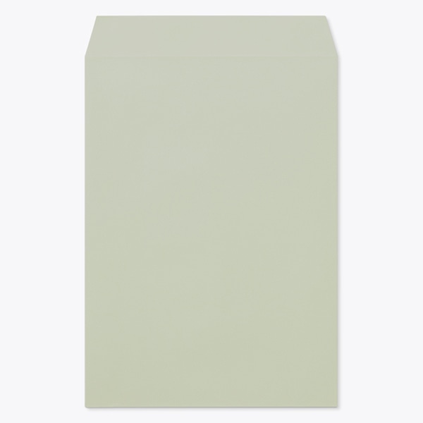 ���� �p2 ���\ SK�O���C 100 ���g�i�V