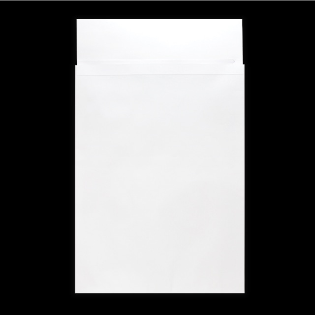 ������ A4�p�@�z���C�g 100  ���[���֑Ή�