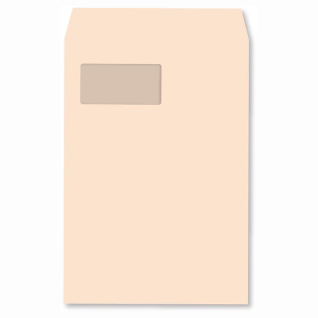 �y���[�U�[�v�����^�[�Ή��z ���� �p20���t �X�~�\ EC�s���NCoC 100 ���g�i�V LP-HL C1720 �ϔM�v���X�`�b�N�t�B������ ��