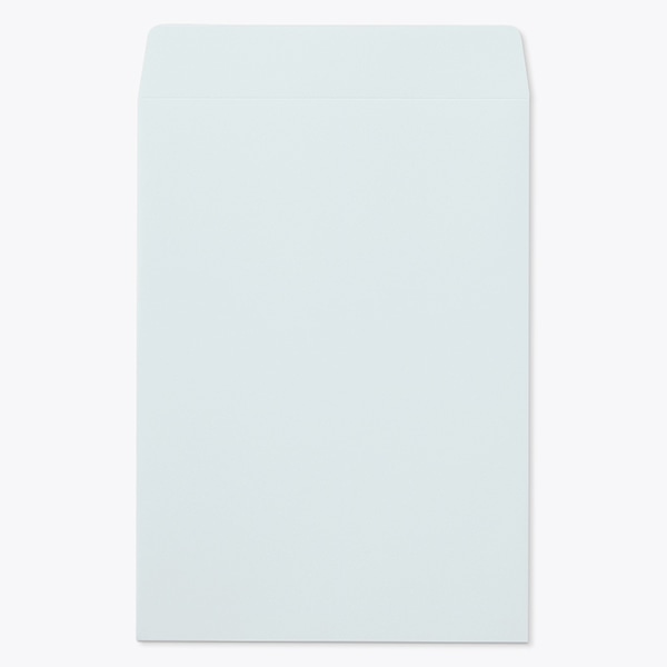 ���� �p2 ���\ DX�X�J�CCoC ���g�i�V