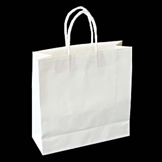 �V���b�s���O�o�b�O SBW(��)