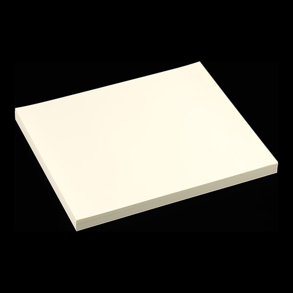 ���h 18�ʕt [100����] �v�����X(N) CoC (360×320) ��