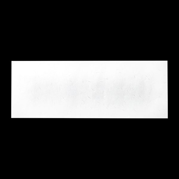 �������A�� ����玆 ��8�ؔ�