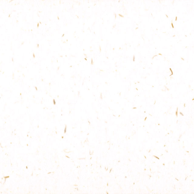 カット紙 東北コットン CoC 180g/u <菊4切判> ☆