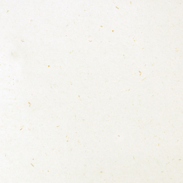 �J�b�g�� OPP �i�o�i�i20���j CoC 100g/�u <A4> ��